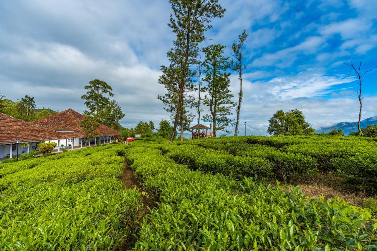 Zostel Plus Wayanad Kalpetta Luaran gambar