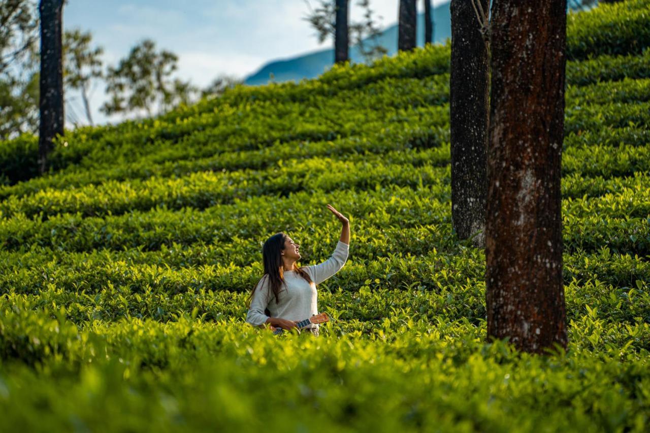 Zostel Plus Wayanad Kalpetta Luaran gambar