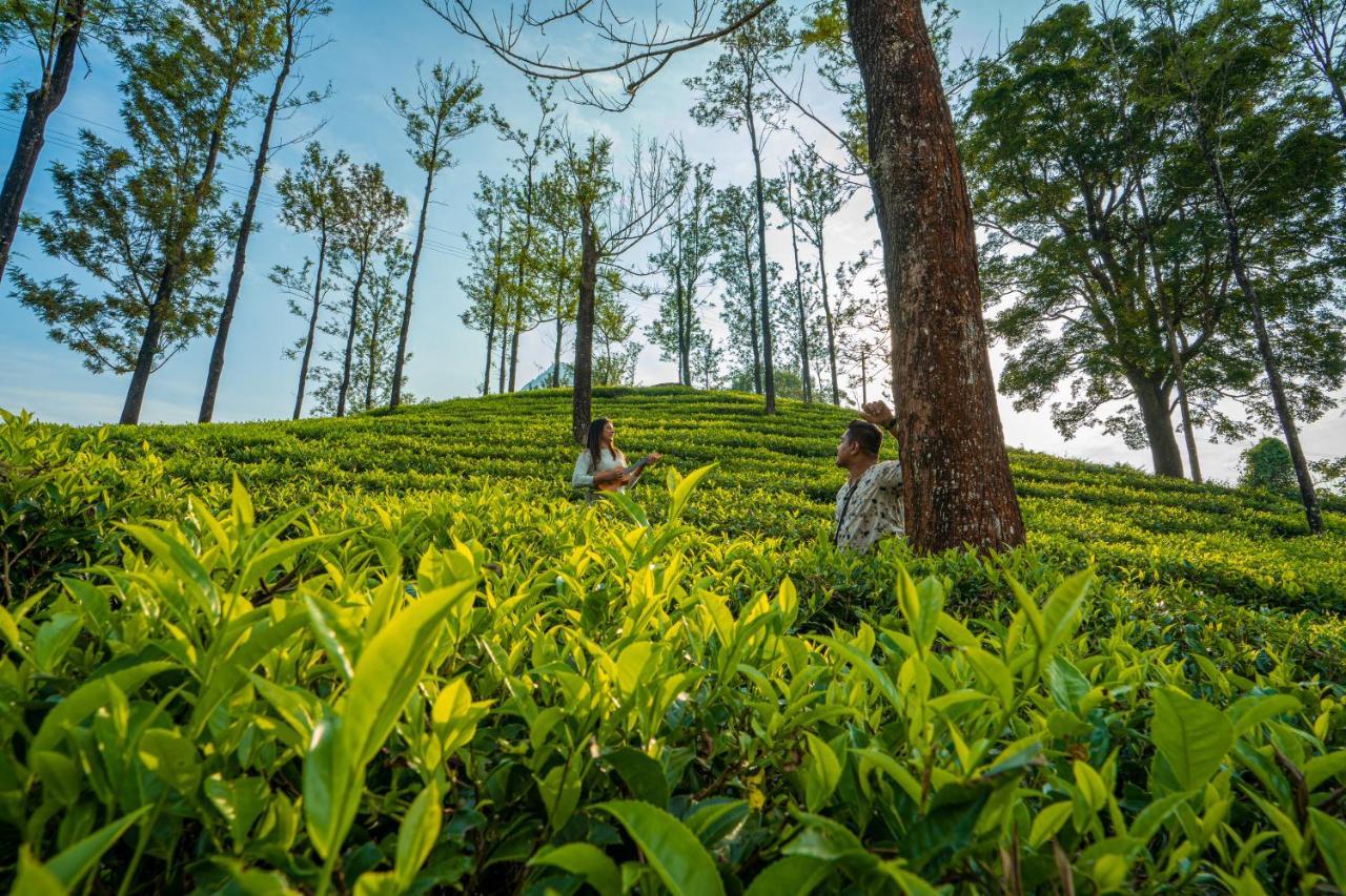Zostel Plus Wayanad Kalpetta Luaran gambar
